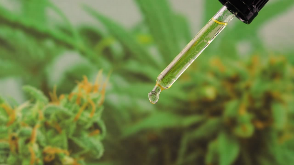 Lost Range® Cbd Extraction Process Explained In 6 Steps 