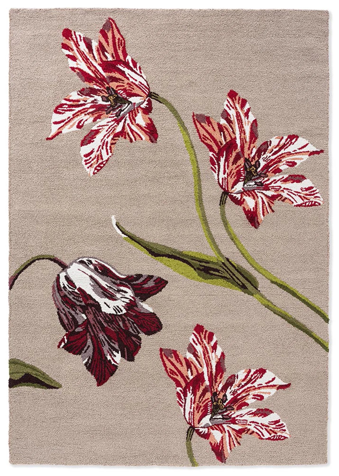 Ted Baker Botanical Tulip Burgundy Outdoor 455610 Rug- Love-Rugs