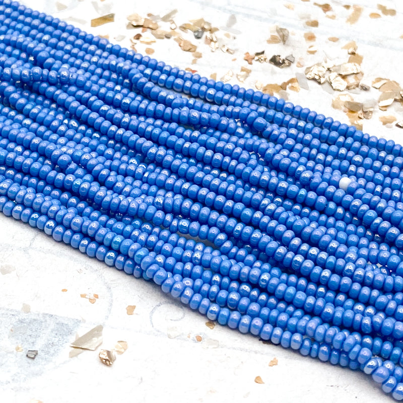 10/0 Blue 22 Seed Bead Hank