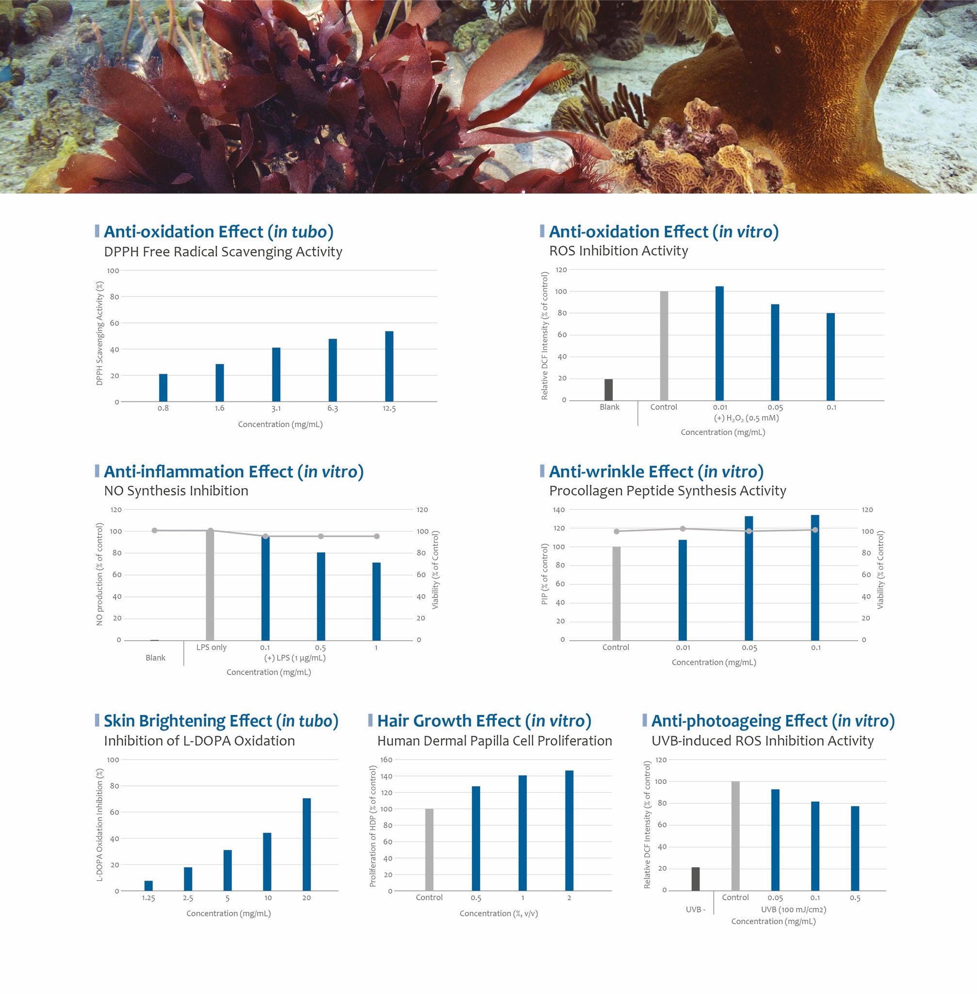 DULSE SEAWEED EFFICACY