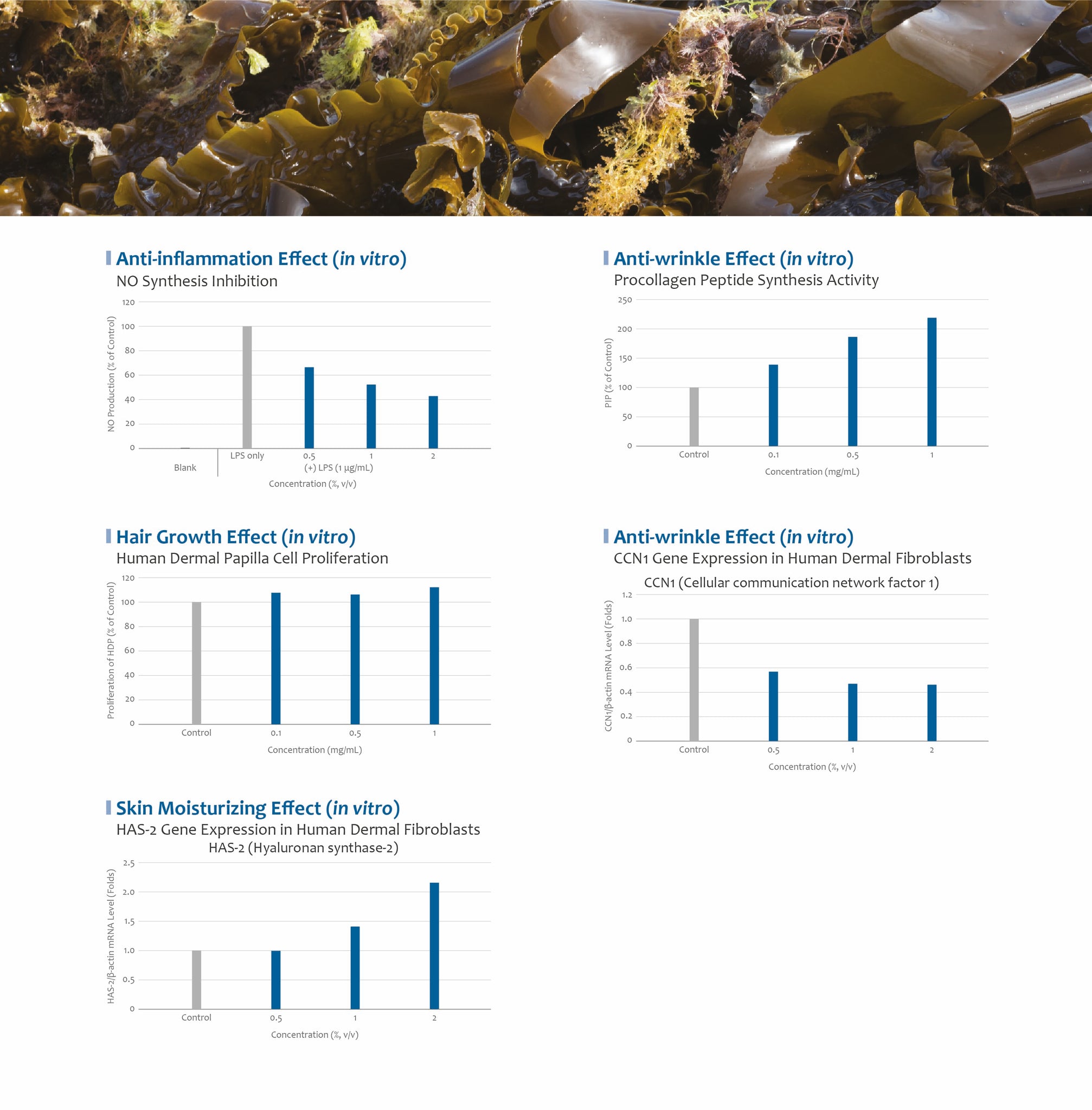 kombu kelp seaweed efficacy