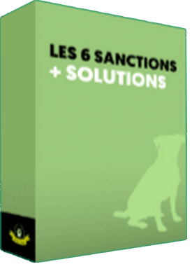 6 SANCTIONS LIVRE.png__PID:65a61c66-a8c9-4be5-b740-c15eec2948da