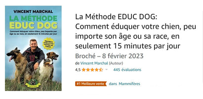 AMZON LIVRE EDUC DOG.jpg__PID:085611c9-81b7-454d-883d-1687cab50df1