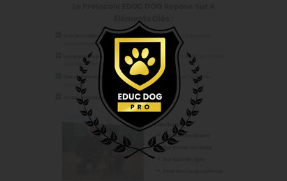 FORMATION EDUC PRO DOG.jpg__PID:2689b7ae-1d48-4752-bf25-6d751ca1324a