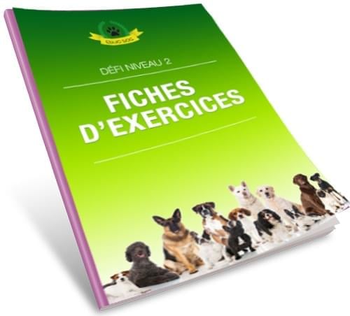 Fiches-d-exercices.jpg__PID:5bf43c9a-51d1-4bf3-b60f-891307a92c07