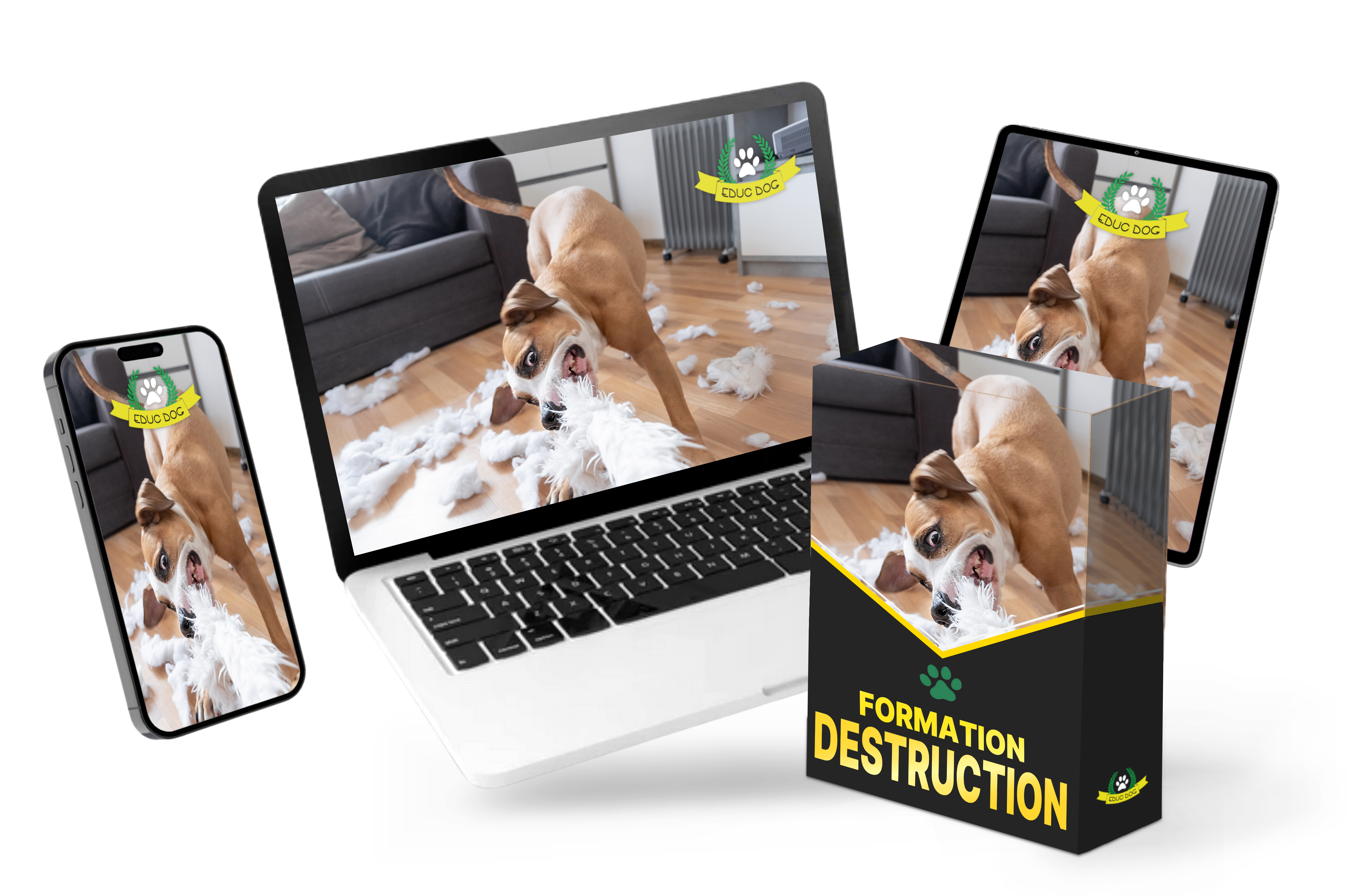 MOCKUP FORMATION DESTRUCTION.png__PID:54f32496-d3b4-4f3a-ab2a-e746f8d760c3