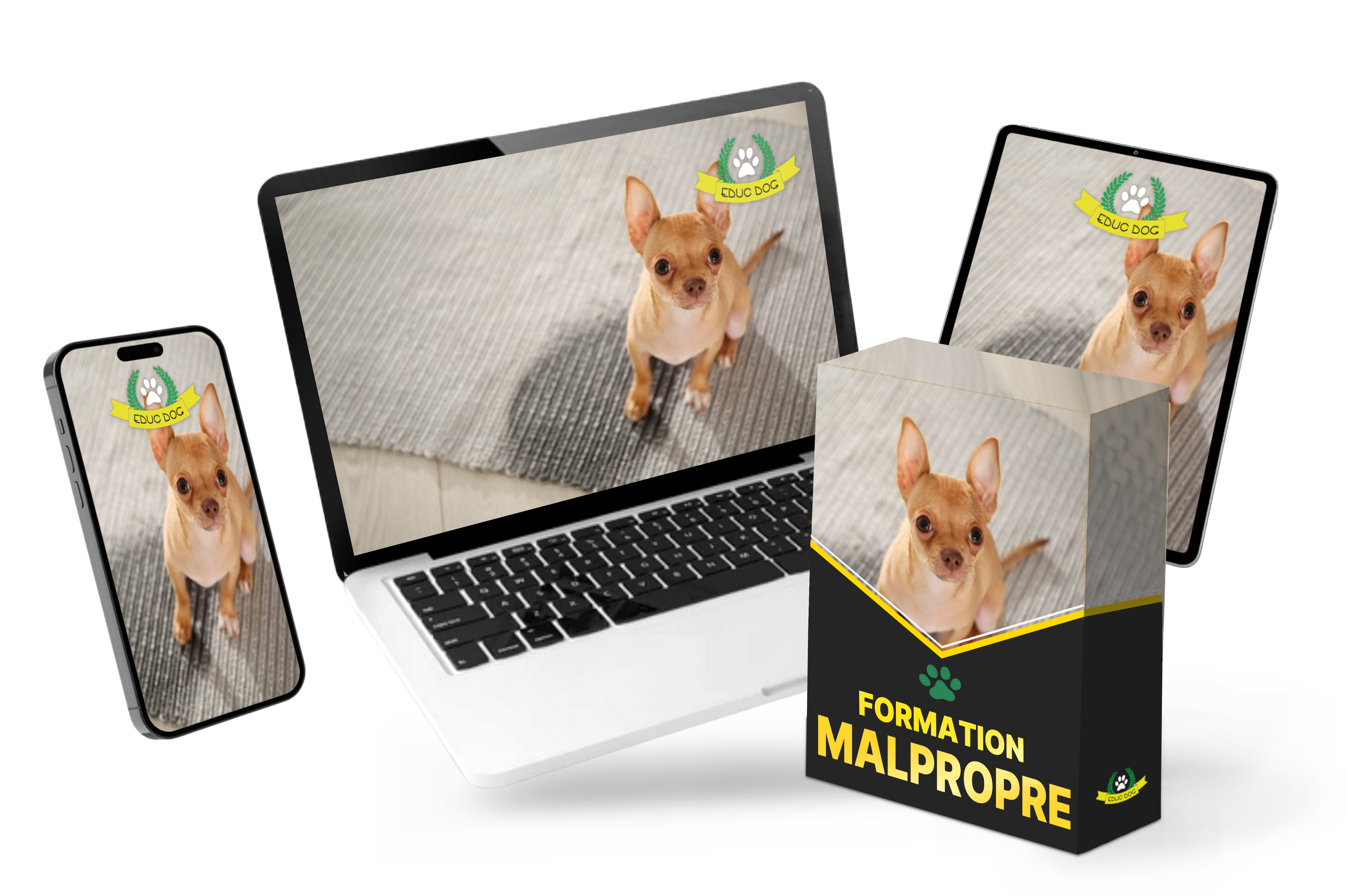 MOCKUP FORMATION MALPROPRE.png__PID:1d8ebddf-7216-4a4c-b210-e3f2cbffc5e0