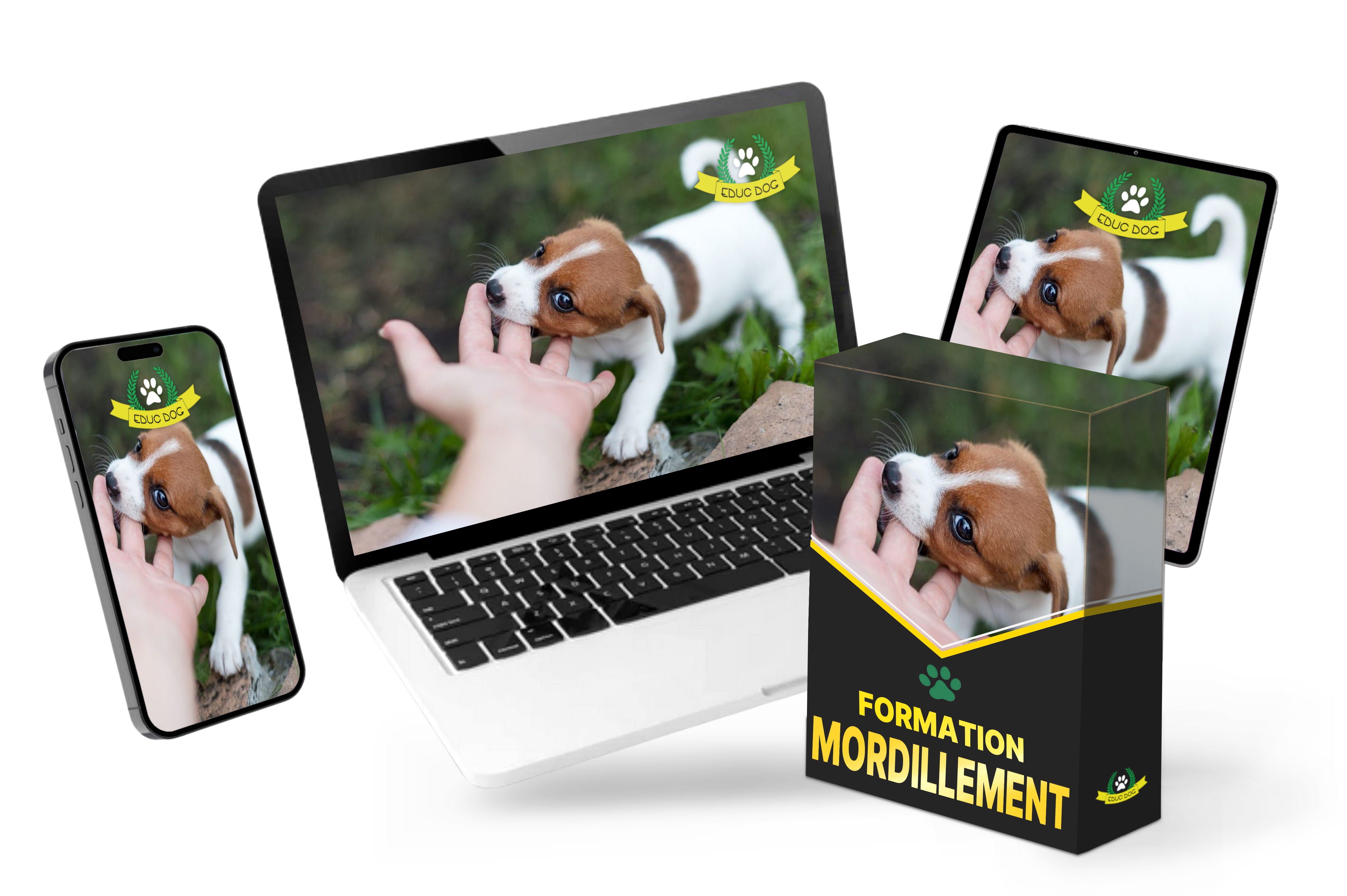 MOCKUP FORMATION MORDILLEMENT.png__PID:b71295b4-2be6-4e40-8098-68a7b887d207