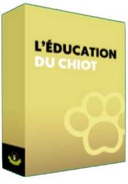 education chiot.png__PID:bf5c381e-4751-49db-a4ee-b618adee5518