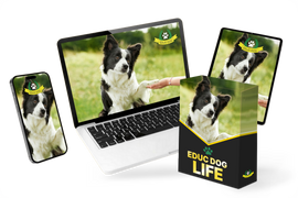 mockup EDUCDOGLIFE.png__PID:9f503254-8fff-4bbe-9e9a-f2455eacb0c1