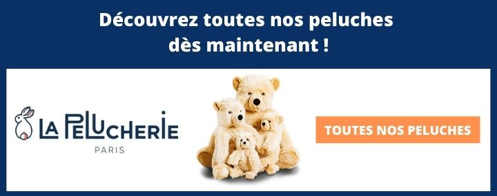 emballage cadeau peluche