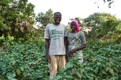 Two trees for future farmers in a field