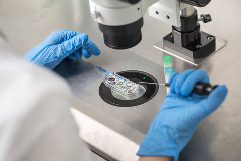 Los embriones de baja calidad no son seleccionados para la transferencia, ni para la crioconservación