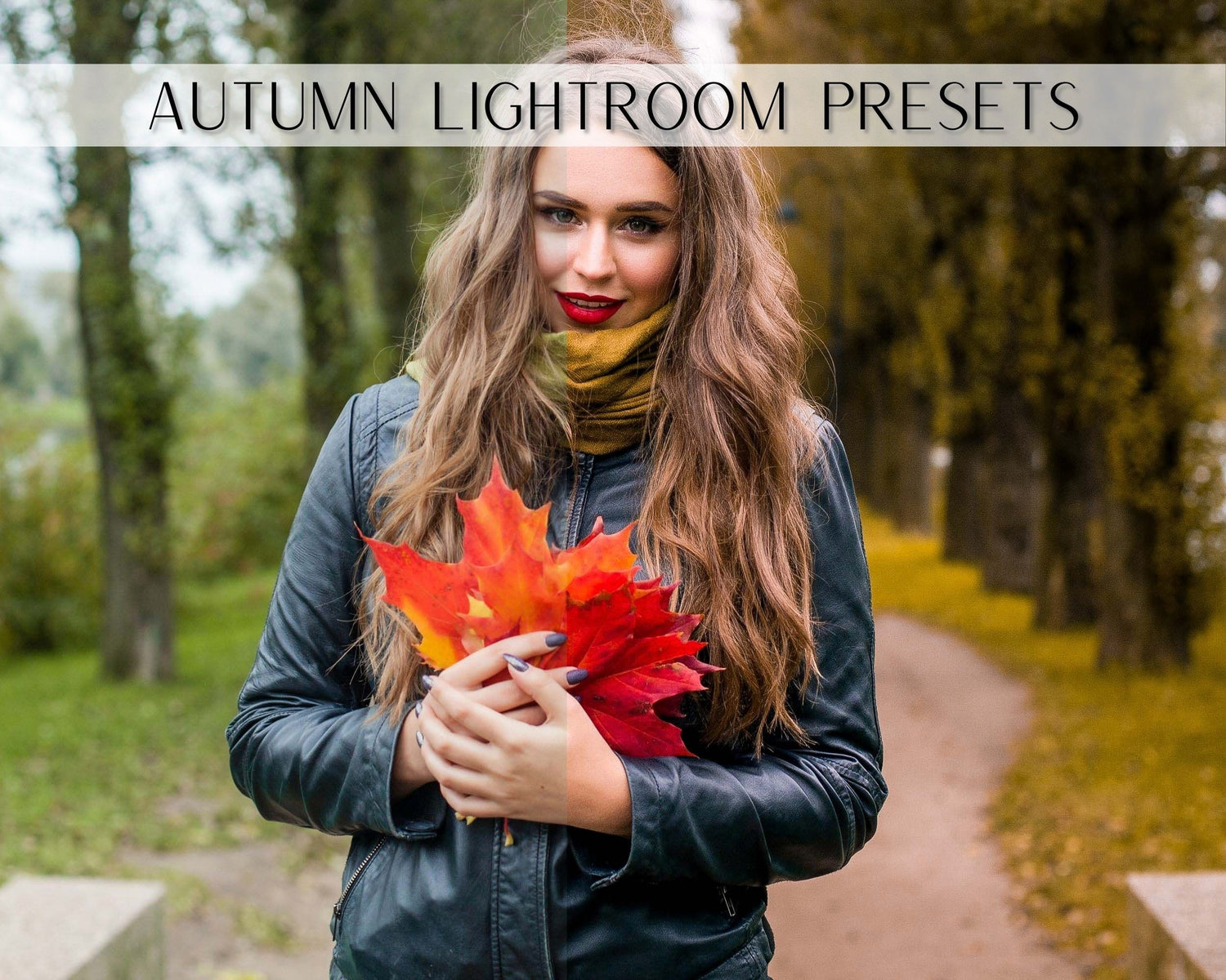 load presets in lightroom cc