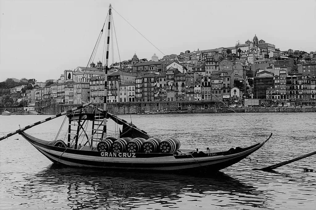 istoria vinului de porto