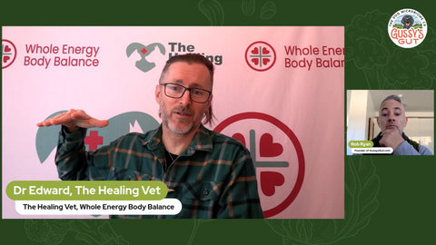 How Does  Dr. Edward Bassingthwaighte's Holistic Vet Care Transform Your Pet's Health? | Rob Ryan | Gussy’s Gut