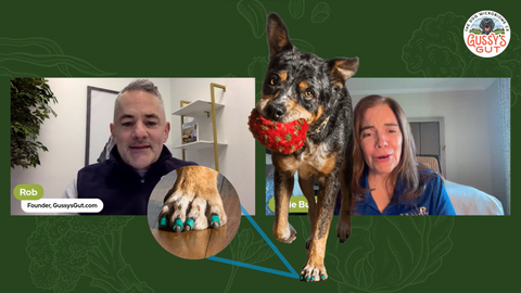Dr. Buzby’s Toegrips for Dog’s Nail Care | Dr. Julie Buzby | Rob Ryan | Gussy’s Gut