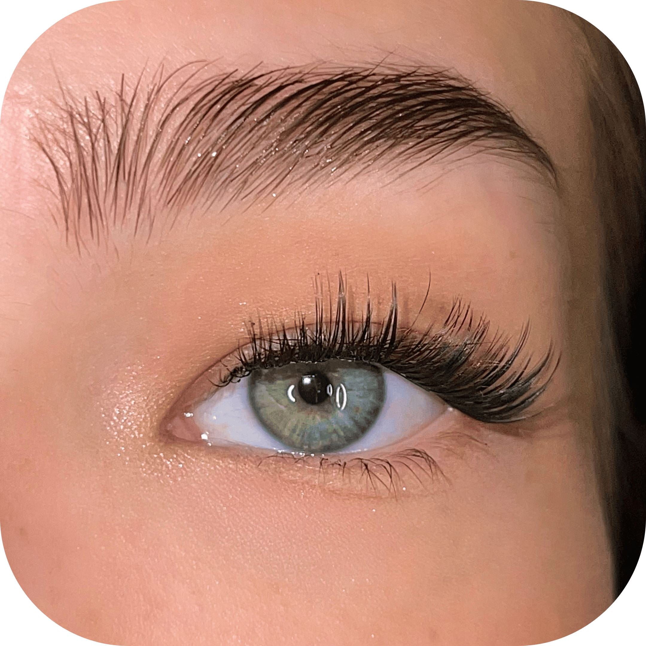 Adventurous - Tray - Custom Lashes product image