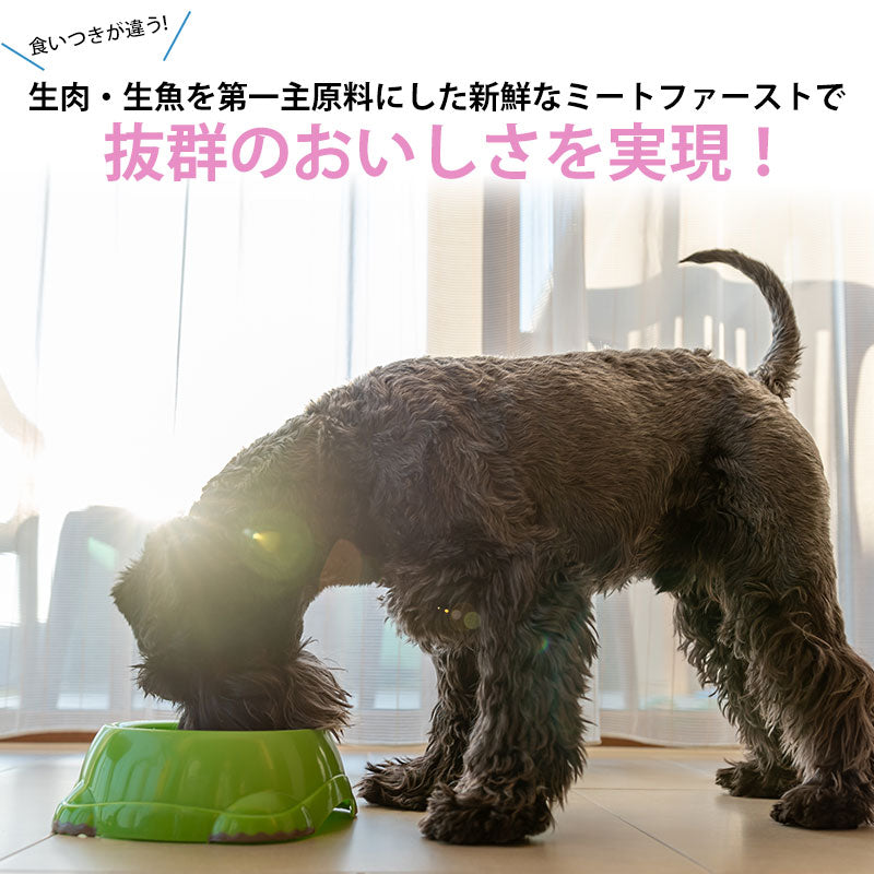 ニュートロ シュプレモ ドッグフード 小型犬用 成犬用 3kg NUTOR