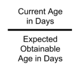 Current Age in Days over Expected Obtainable Age in Days