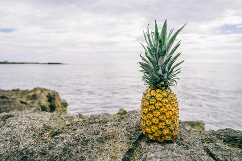 Pineapple on a rock by the ocean
