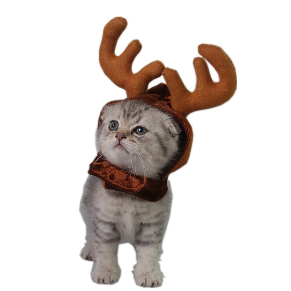 cat reindeer hat