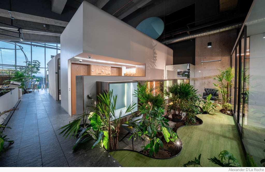 Parque Toreo Office by Broissin