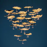 Luci d’Oro Gold Moon Chandelier - Catellani & Smith - Do Shop