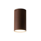 Roest 20 Ceiling Light