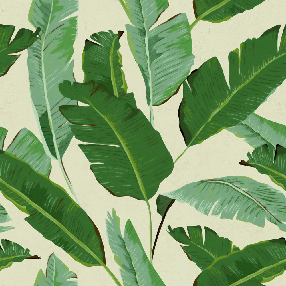 Banana Leaves Wallpaper By Mindthegap Do Shop