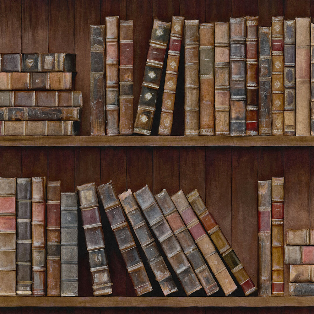 Book Shelves Wallpaper By Mindthegap Do Shop