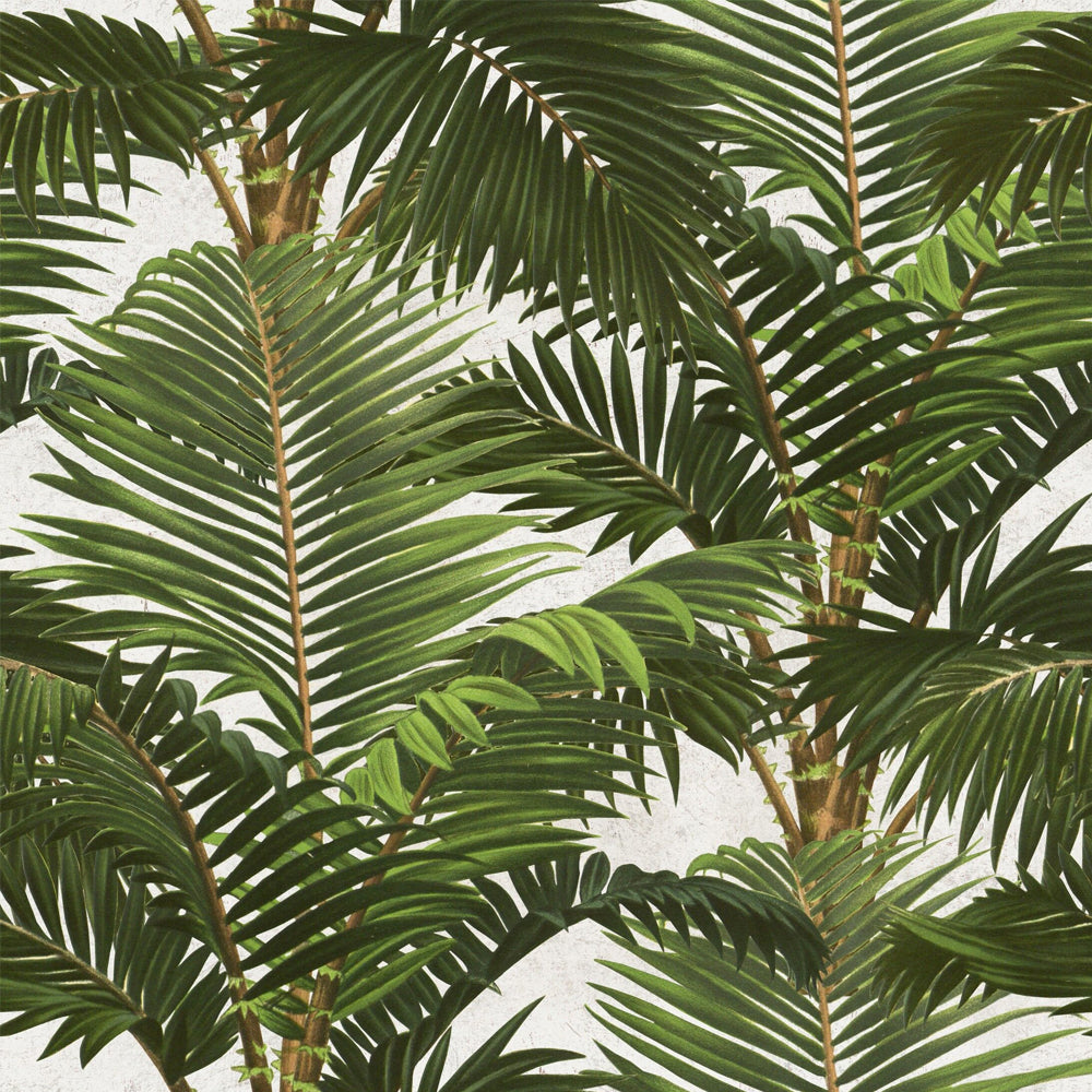 Jardin Tropical Wallpaper By Mindthegap Do Shop