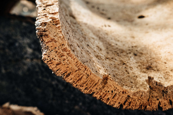 A close-up of the bark of a cork oak tree from the side