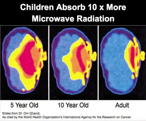 radiation_absorbtion--1-1646995934468_500x_371cc00c-dbf8-411d-bd36-f0babcb2f5e8.webp__PID:9c019ccd-5356-4b78-bcb7-0f328e844834