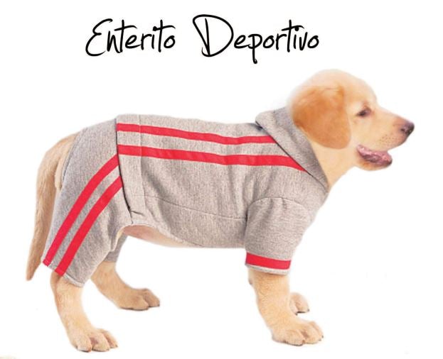 Curso 12 Modelos de Ropa para Perros – Mi Recurso Digital