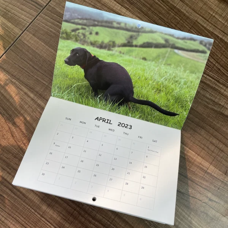 Funny Calendar Gift Pooping Pooches Dog Calendar On Duvely