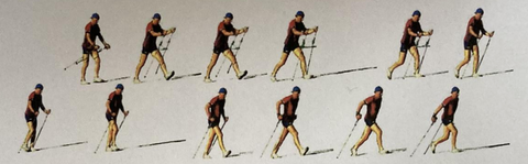 1-2-Schritt: Abbildung der Abfolge dieser Lauftechnik mit Nordic Walking Stöcken