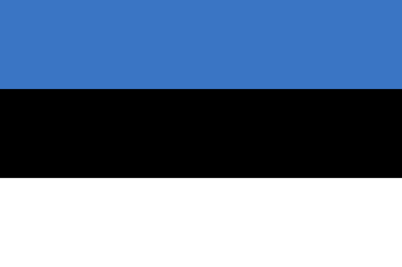 バスケットボールワールドカップ - エストニア