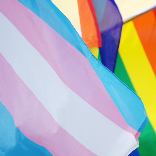 Pride Rainbow Flag – Prismatic Display