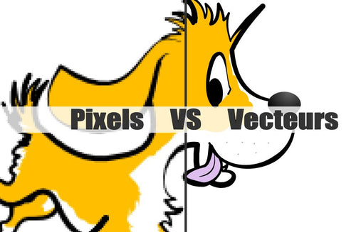 pixels VS vecteurs