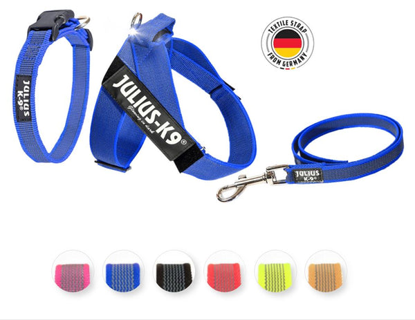 Color & Gray dog harness