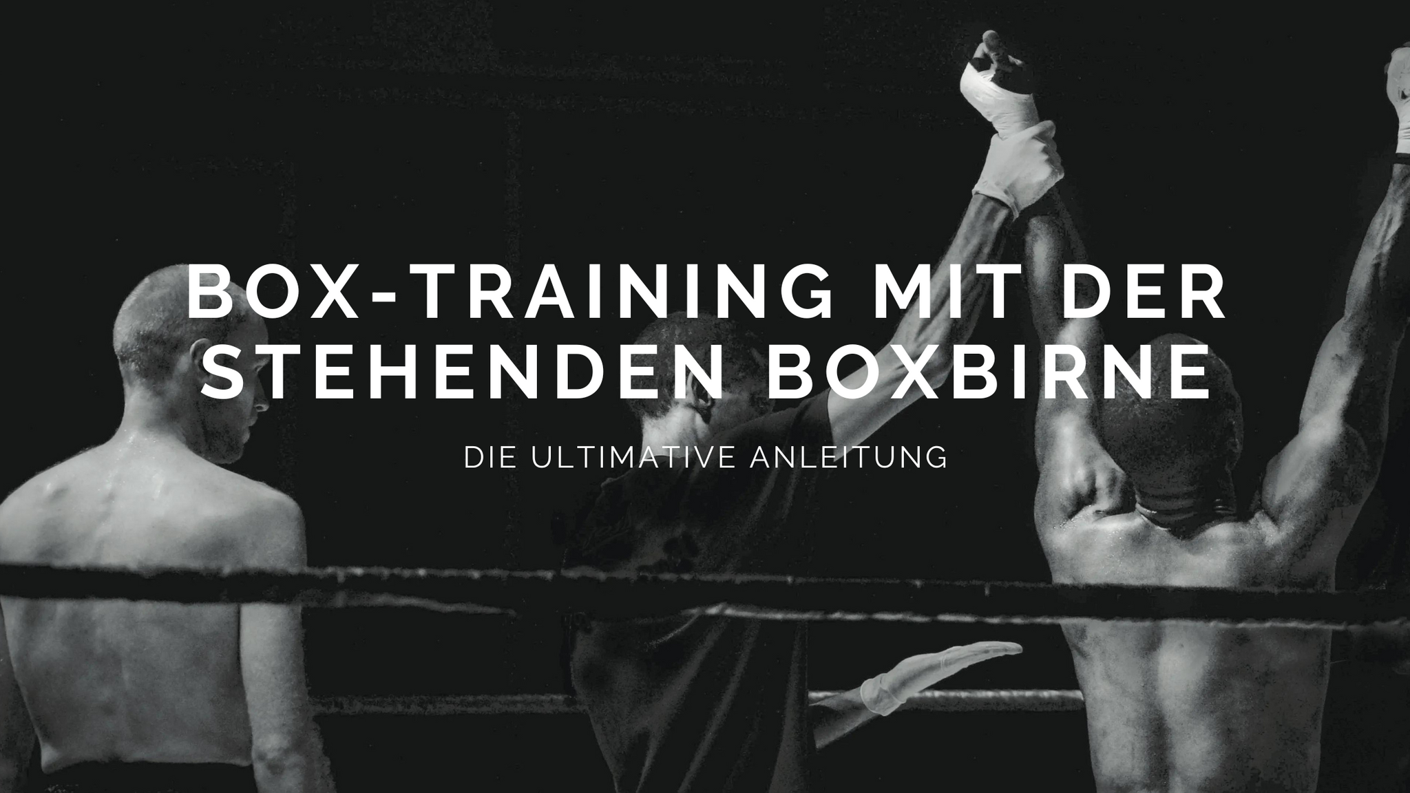 Box-Training mit der stehenden Boxbirne - Tipps + Anleitung – Tuf  Wear-Germany