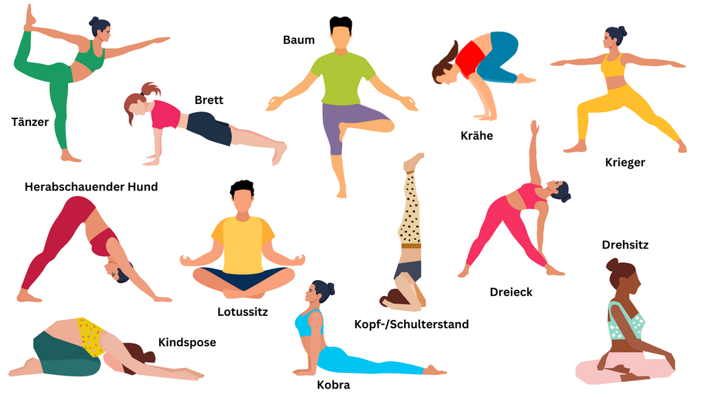 Yoga-Übungen für Boxer