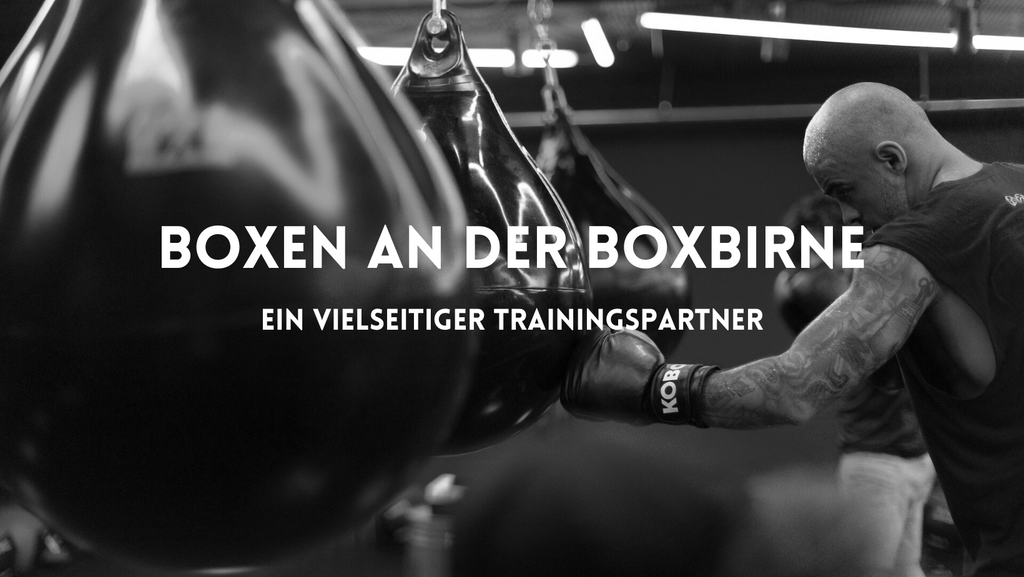 Boxen an der Boxbirne - das ist zu beachten