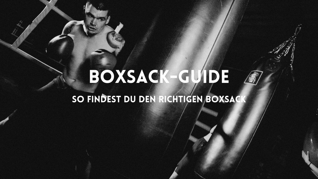 Boxsack Halterung bis 100 kg belastbar bestellen