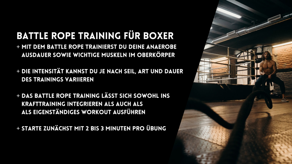 Wie können Boxer mit Battle Ropes trainieren?