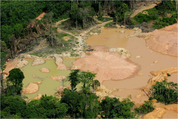 Deforestation Mining Suriname General in Park