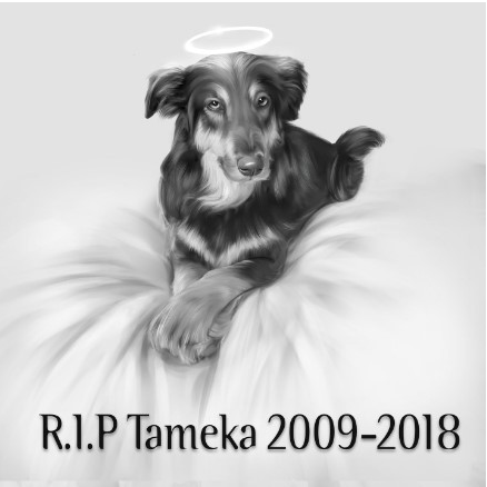 r.i.p tameka charcoal portrait