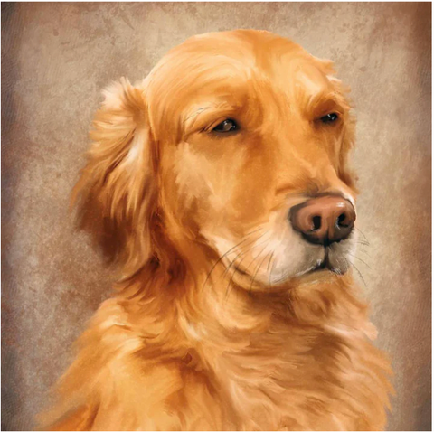 Custom Dog Portrait