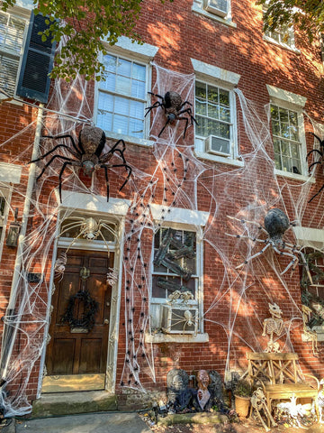 spider invasion halloween window